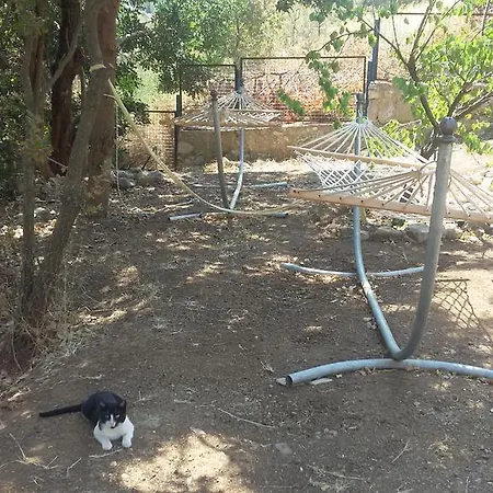 Cici's Pansion Bed & Breakfast Datça