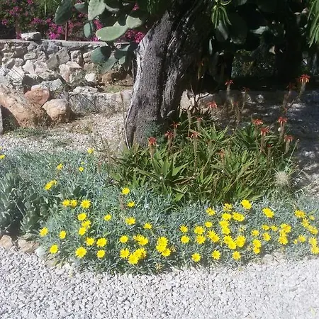 Cici's Pansion Datça